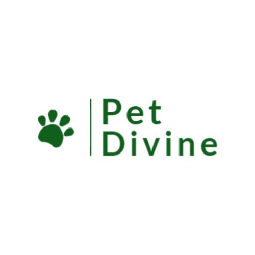 Pet Divine